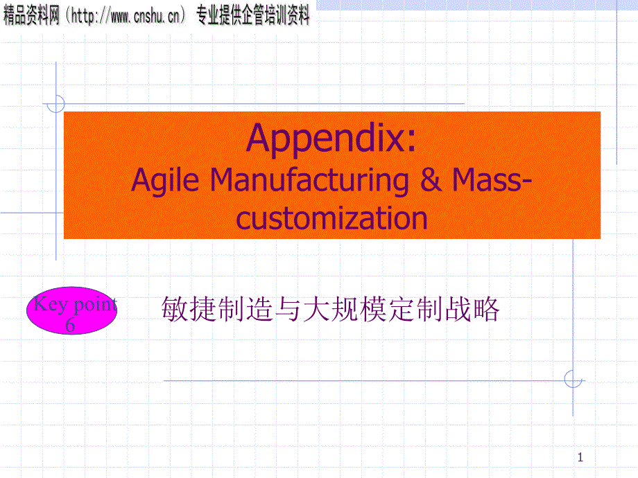 精细生产方式与大规模定制战略_第1页