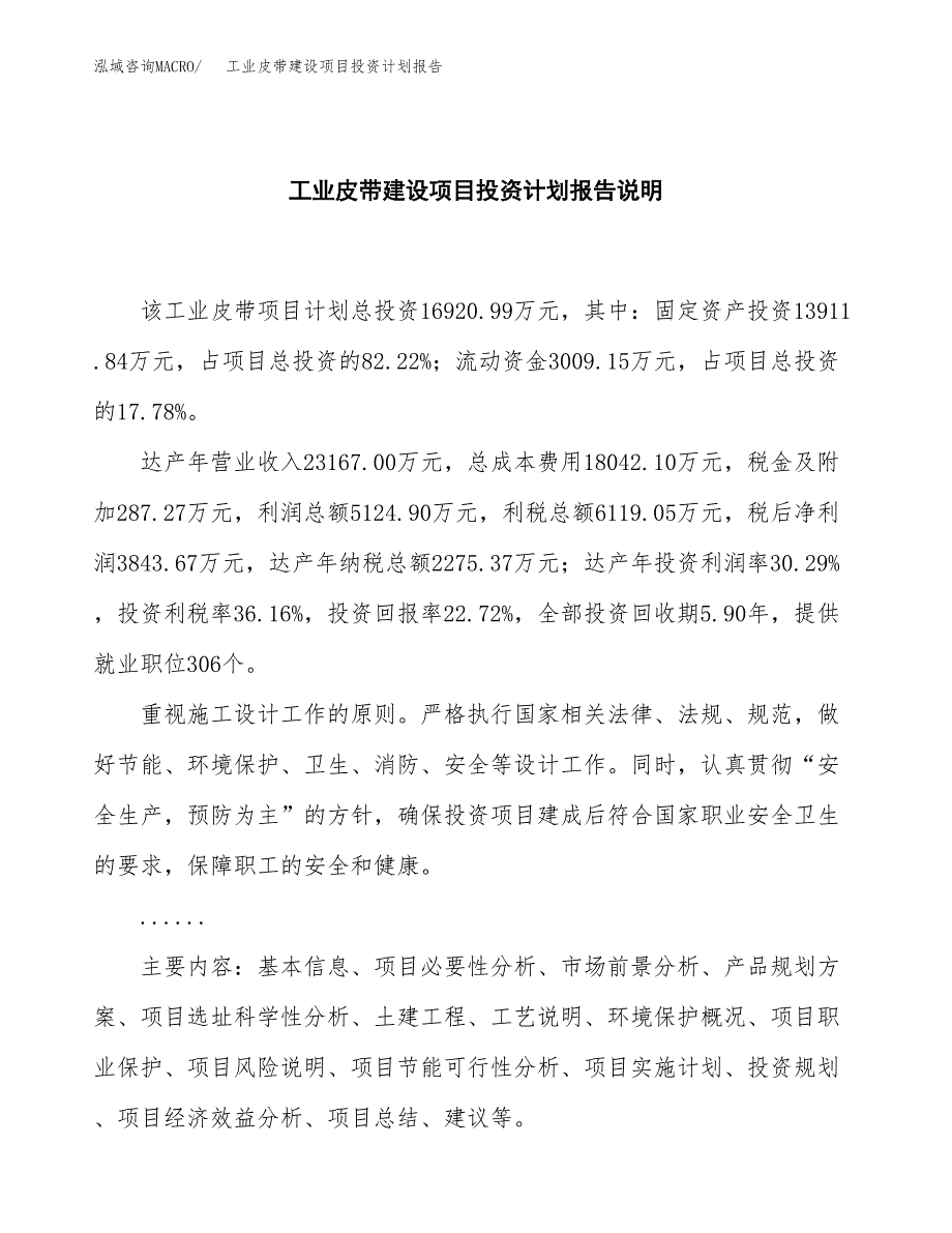 工业皮带建设项目投资计划报告.docx_第2页