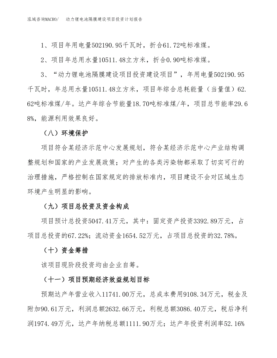 动力锂电池隔膜建设项目投资计划报告.docx_第4页