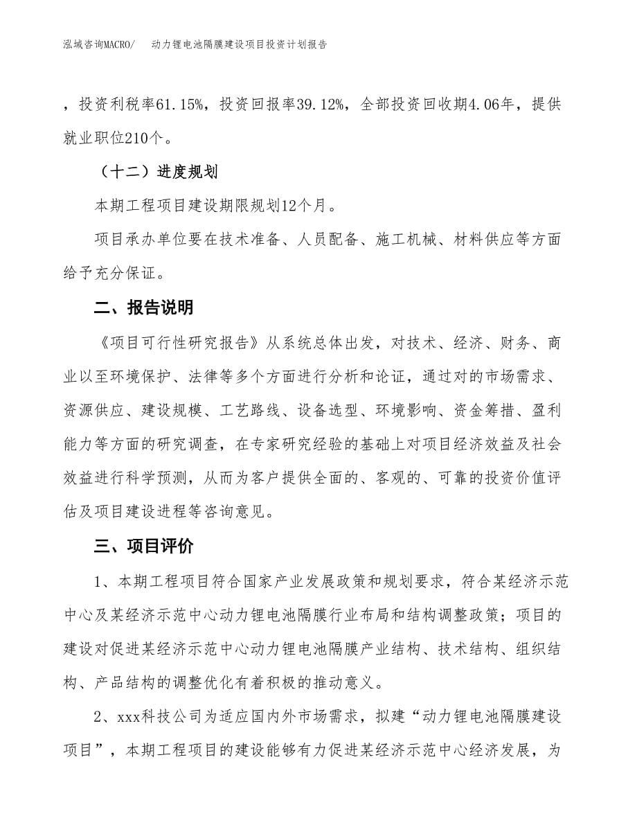 动力锂电池隔膜建设项目投资计划报告.docx_第5页