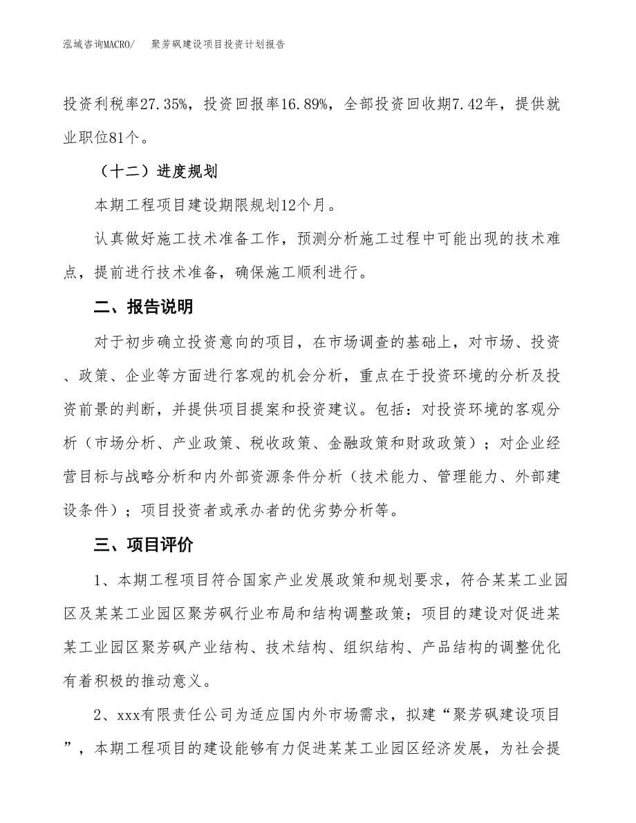 聚芳砜建设项目投资计划报告.docx_第5页