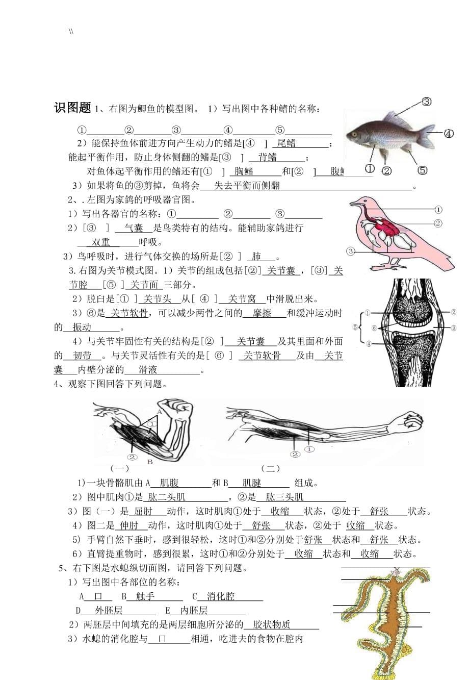 人教版.八年级.生物上册实验探究题专栏评论练习学习进步_第5页