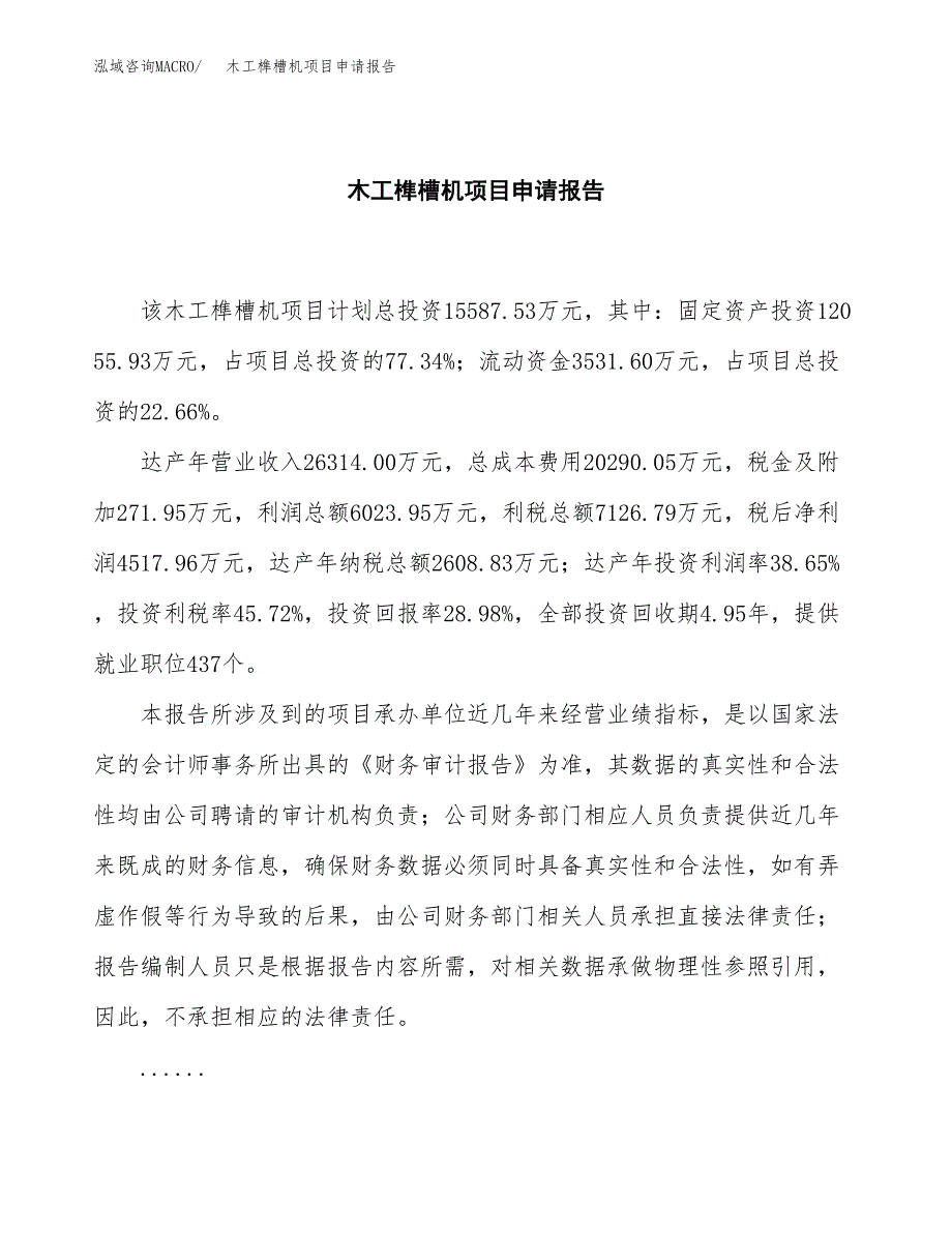 木工榫槽机项目申请报告（65亩）.docx_第2页