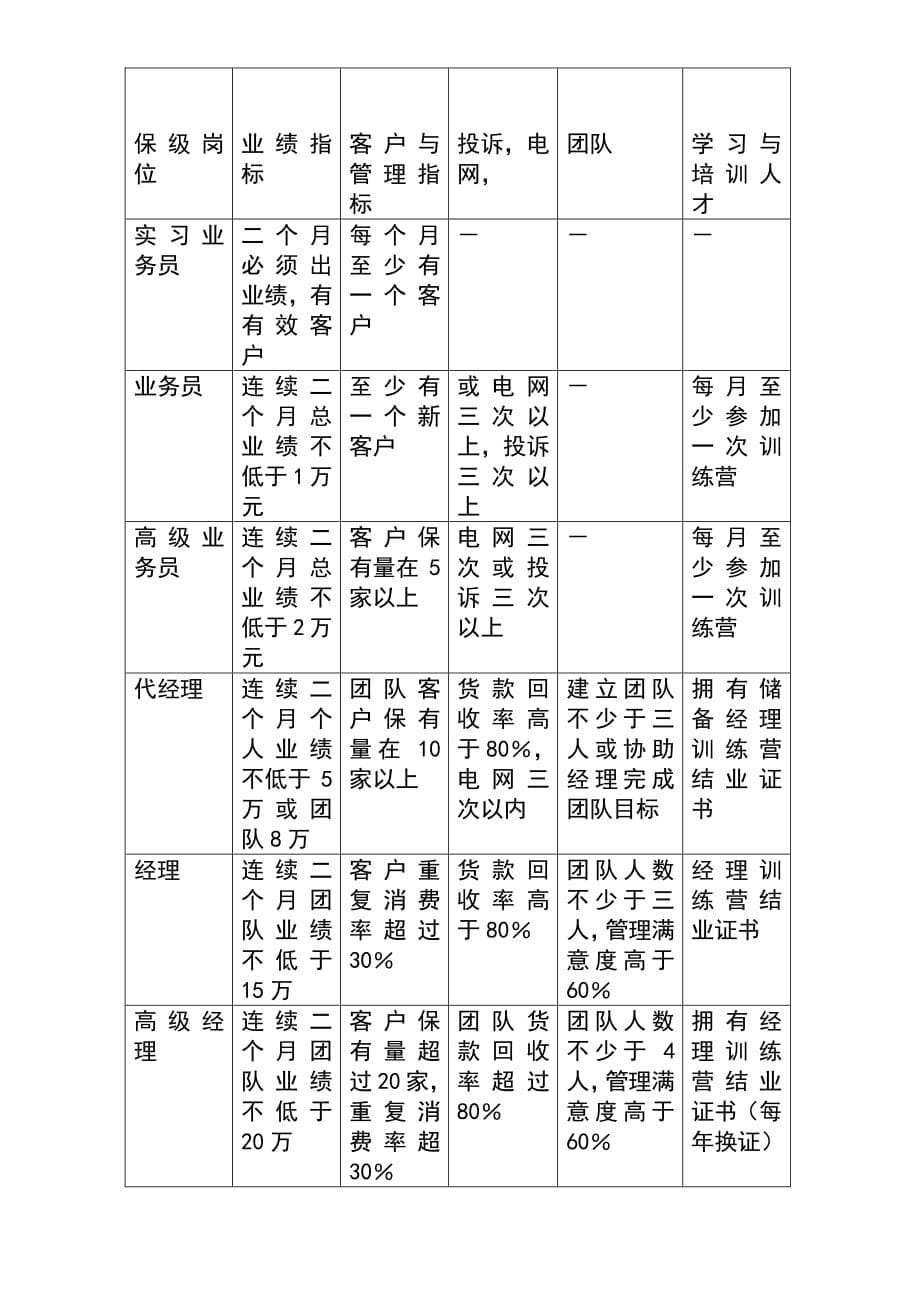 营销人员晋升与保级标准表_第5页