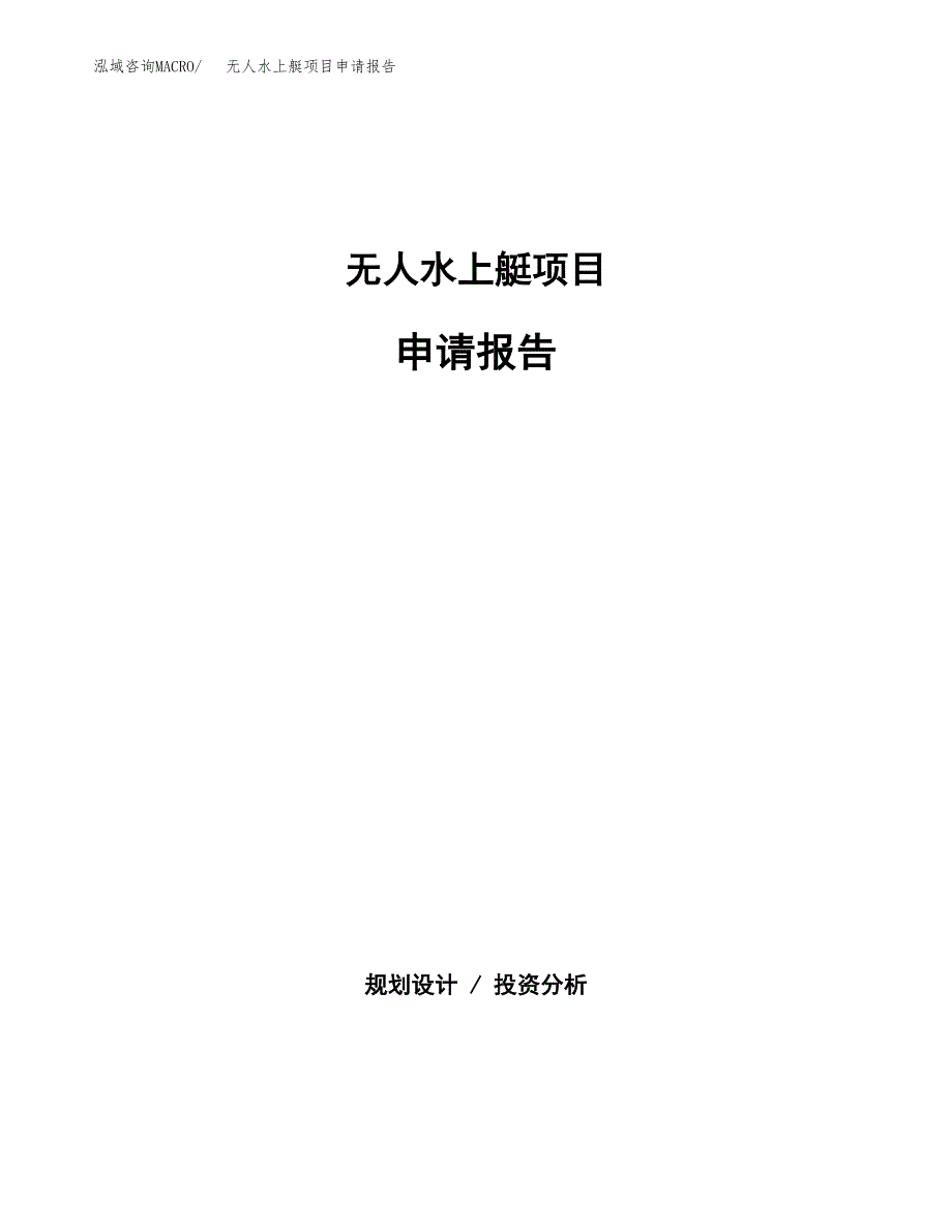 无人水上艇项目申请报告（29亩）.docx_第1页