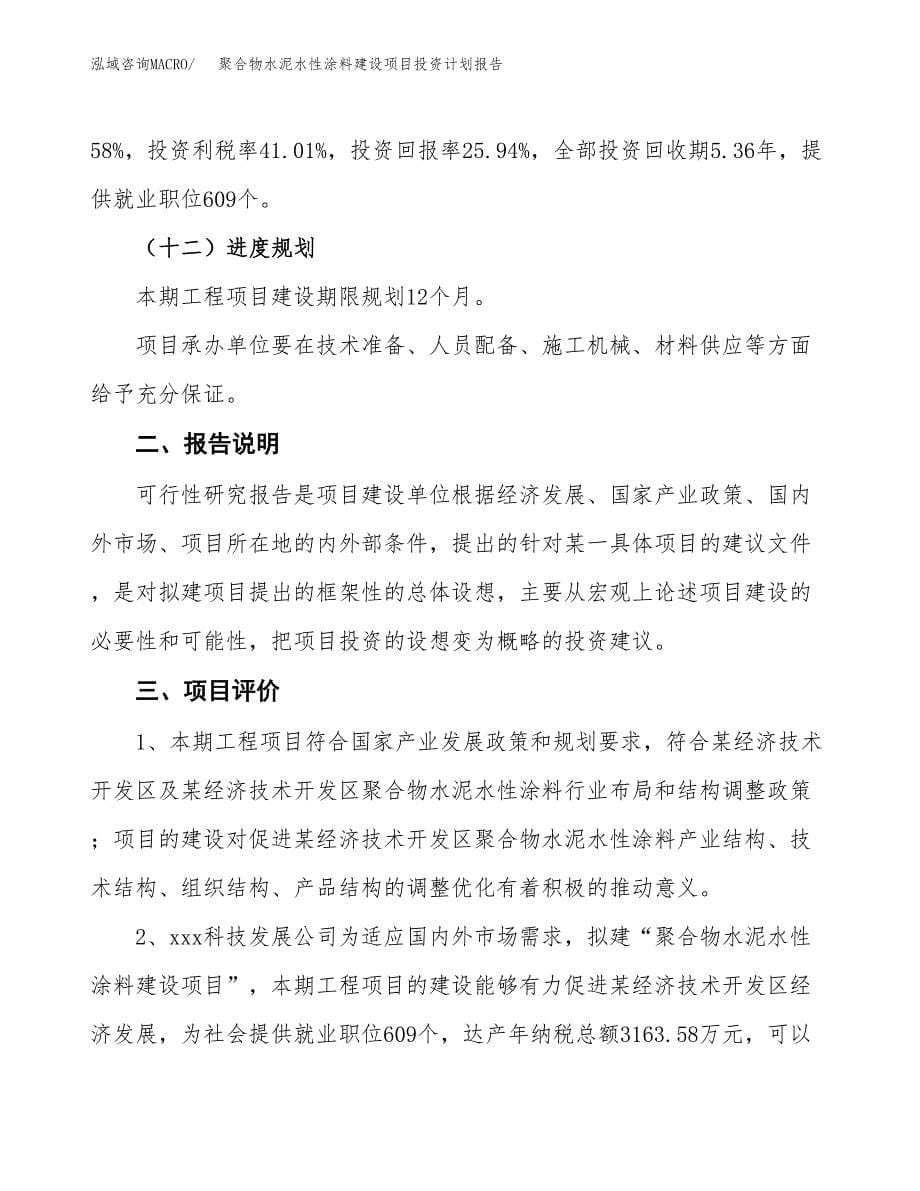 聚合物水泥水性涂料建设项目投资计划报告.docx_第5页