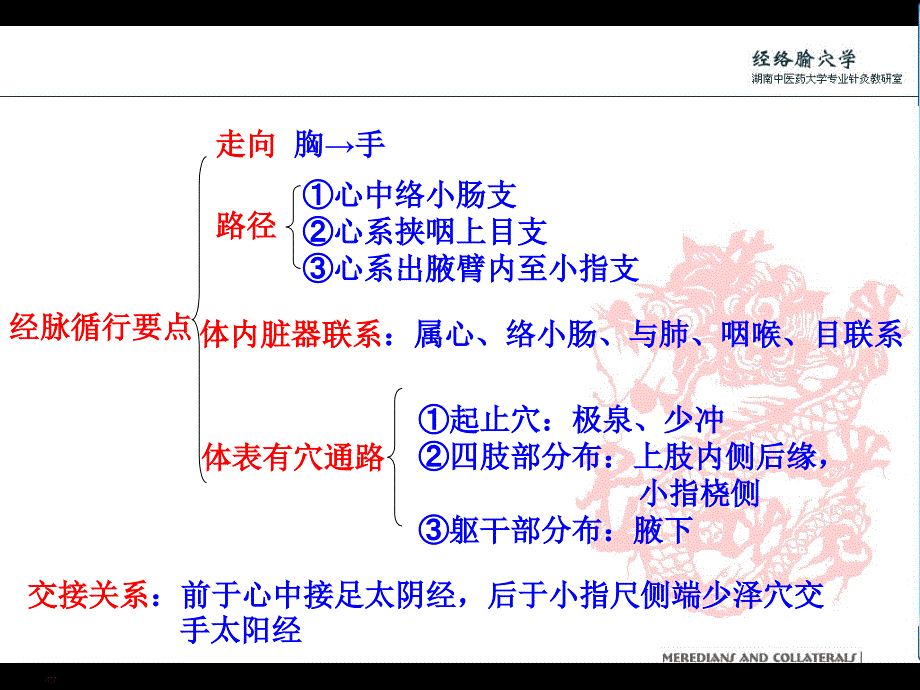 手少阴经络与腧穴概述_第4页