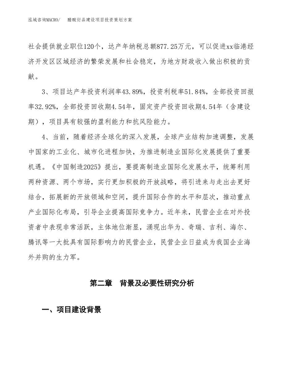 醋酸衍品建设项目投资策划方案.docx_第5页