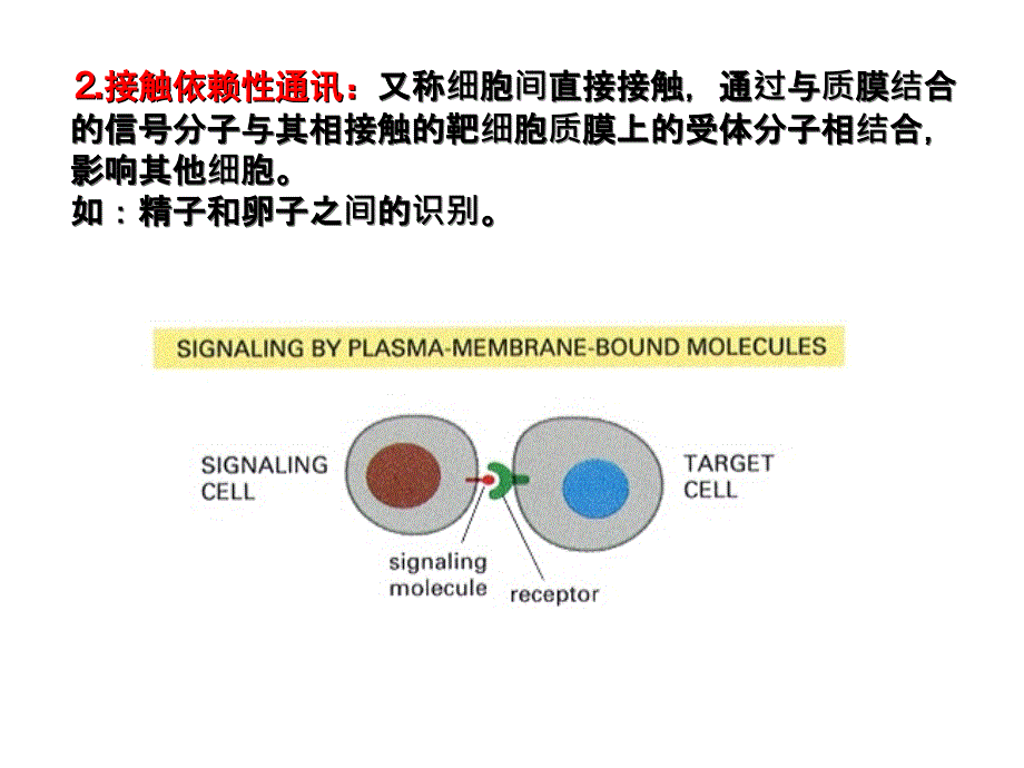 生物竞赛辅导细胞信号转导2017_第4页