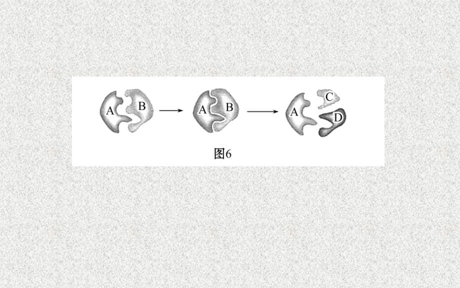 生物高考专题辅导与训练配套课件专题二--第讲物质跨膜运输酶和atp_第5页