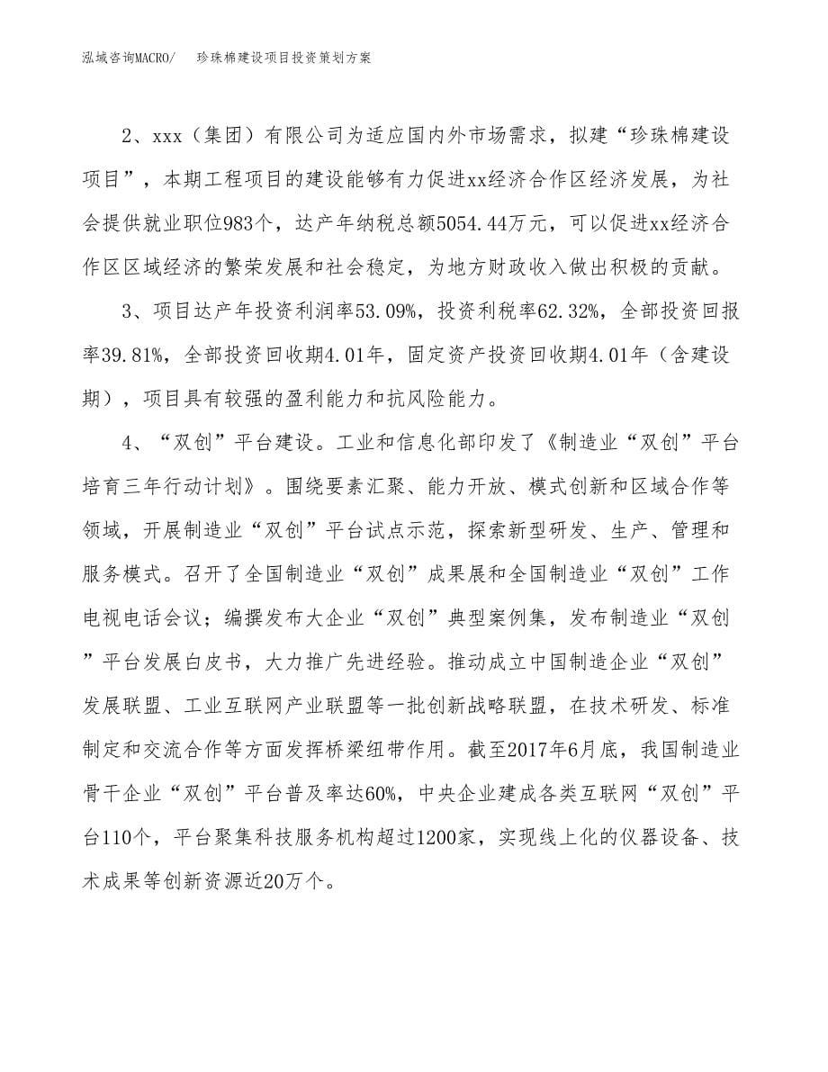 珍珠棉建设项目投资策划方案.docx_第5页