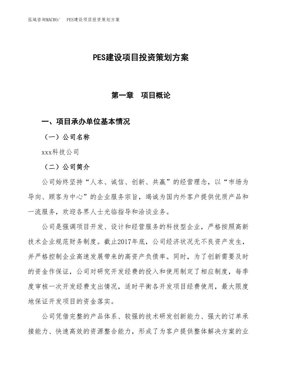 PES建设项目投资策划方案.docx_第1页