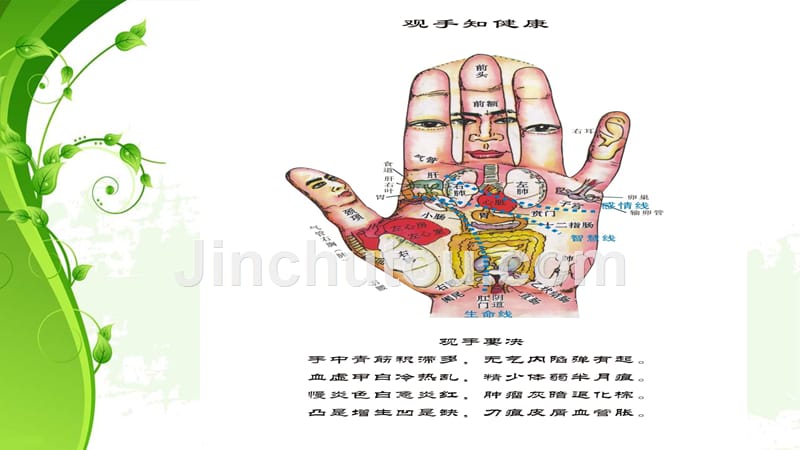 手诊-1纹路_第4页