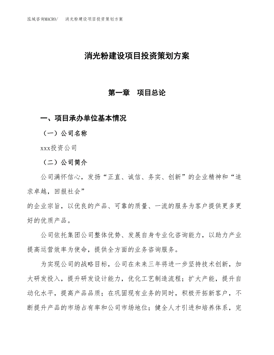 消光粉建设项目投资策划方案.docx_第1页