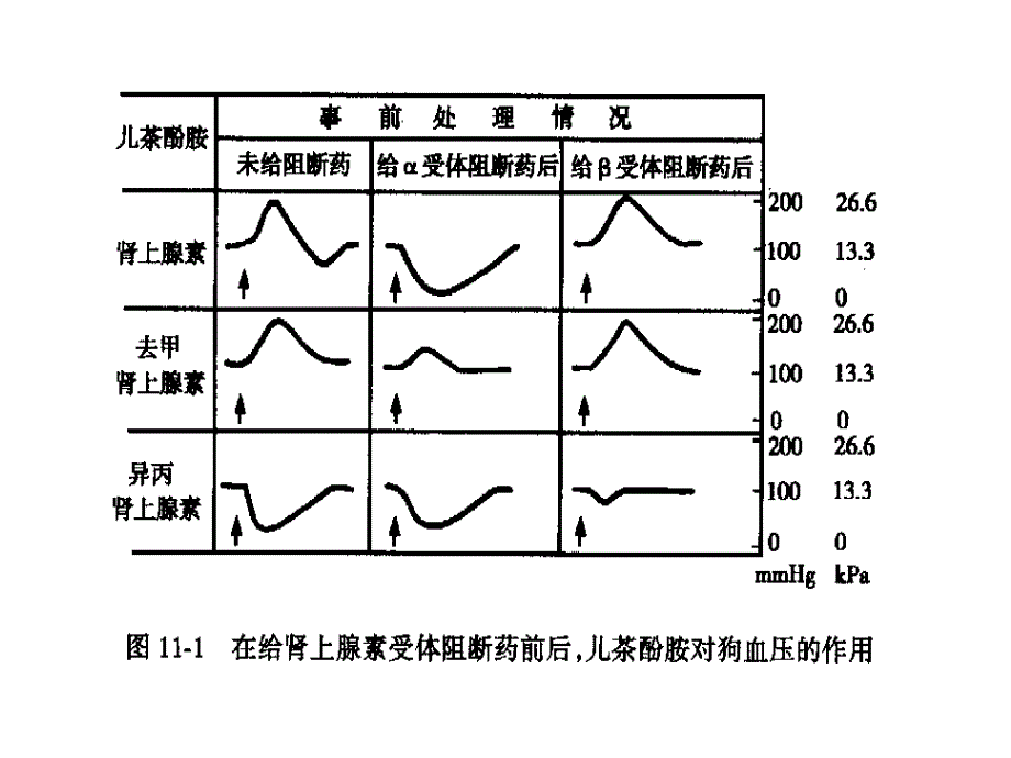 受体阻断药(1)_第2页