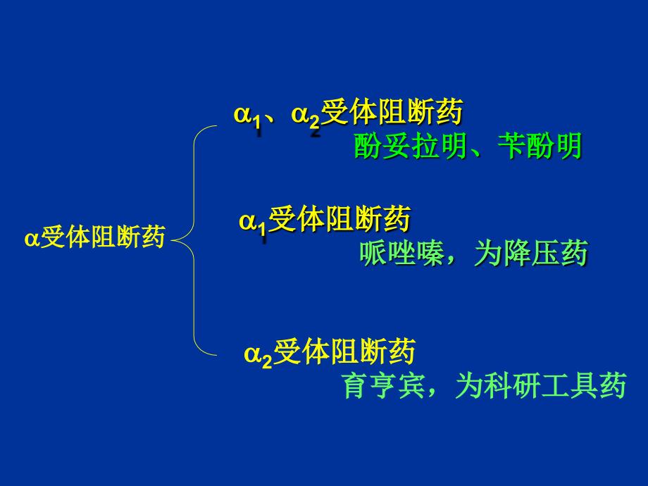 受体阻断药(1)_第3页