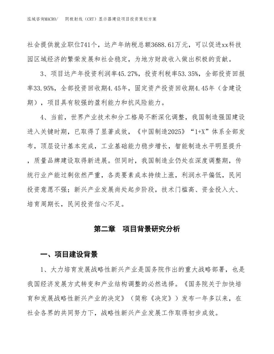 阴极射线（CRT）显示器建设项目投资策划方案.docx_第5页