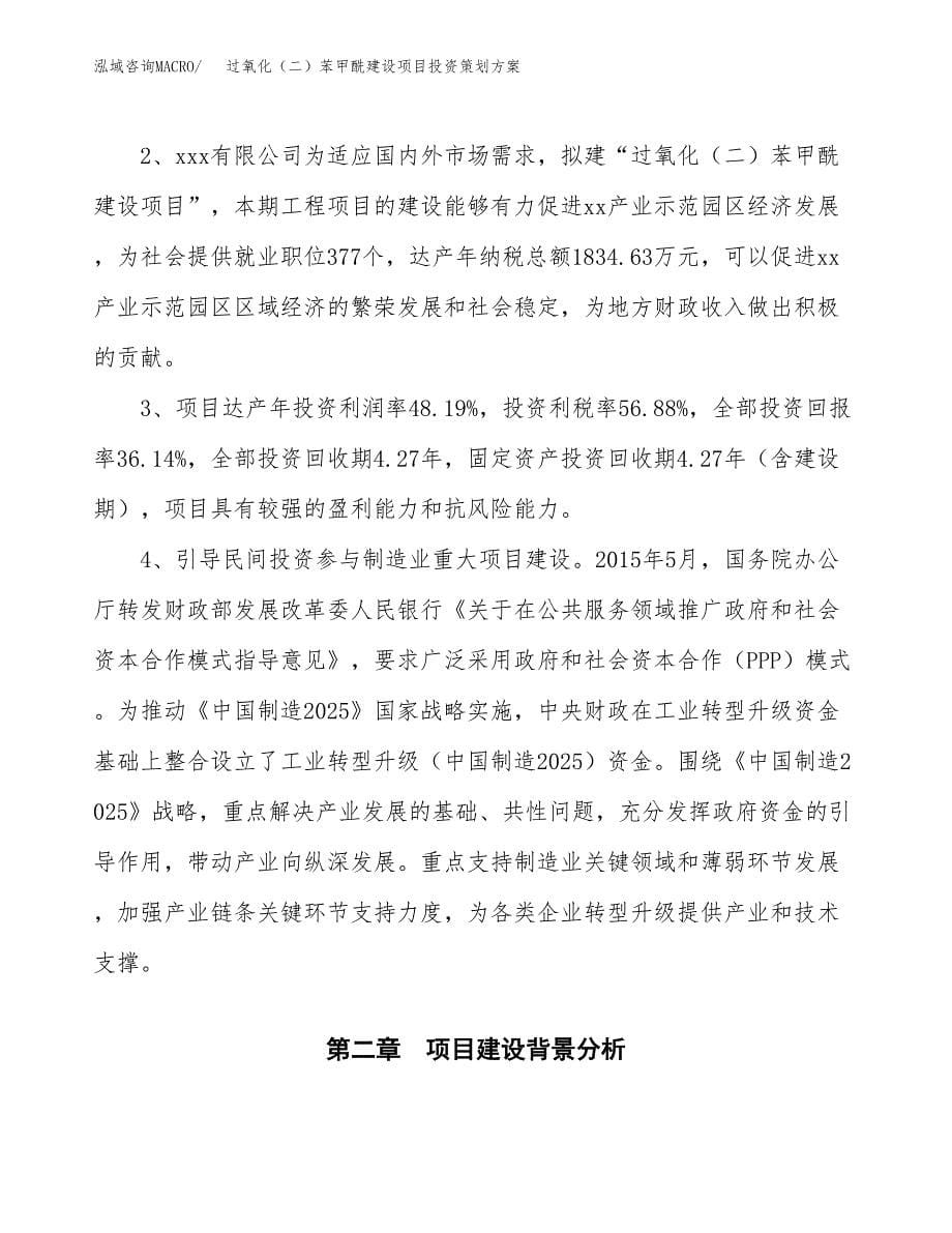 过氧化（二）苯甲酰建设项目投资策划方案.docx_第5页