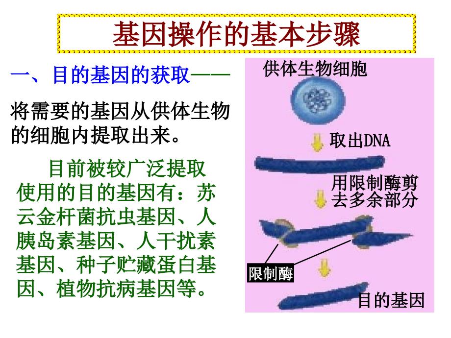 生物12基因工程的基本操作程序2014级用_第2页