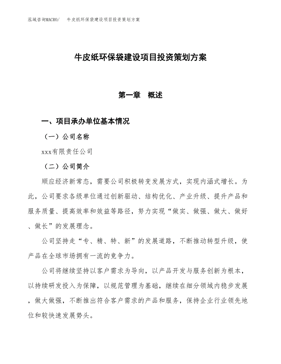 牛皮纸环保袋建设项目投资策划方案.docx_第1页