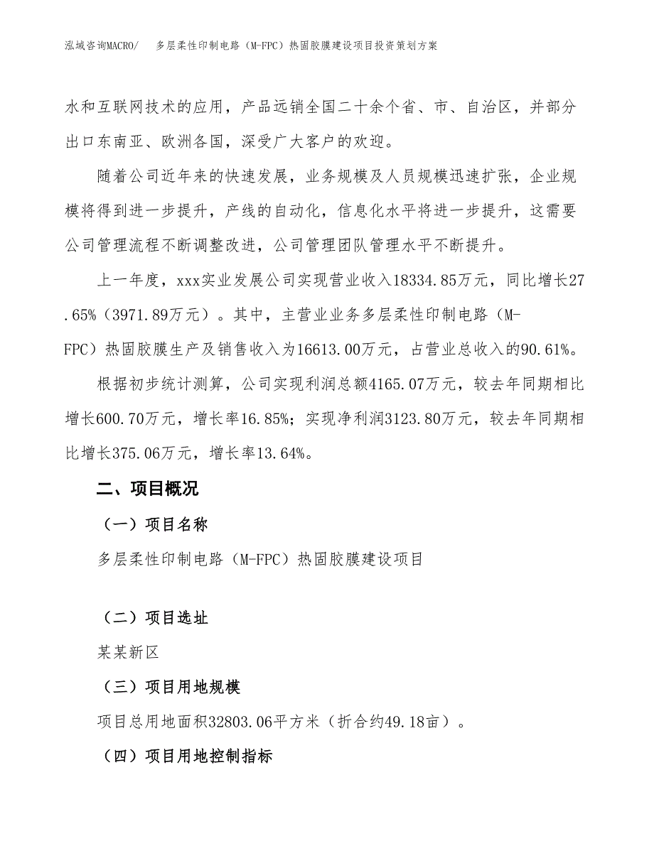 多层柔性印制电路（M-FPC）热固胶膜建设项目投资策划方案.docx_第2页