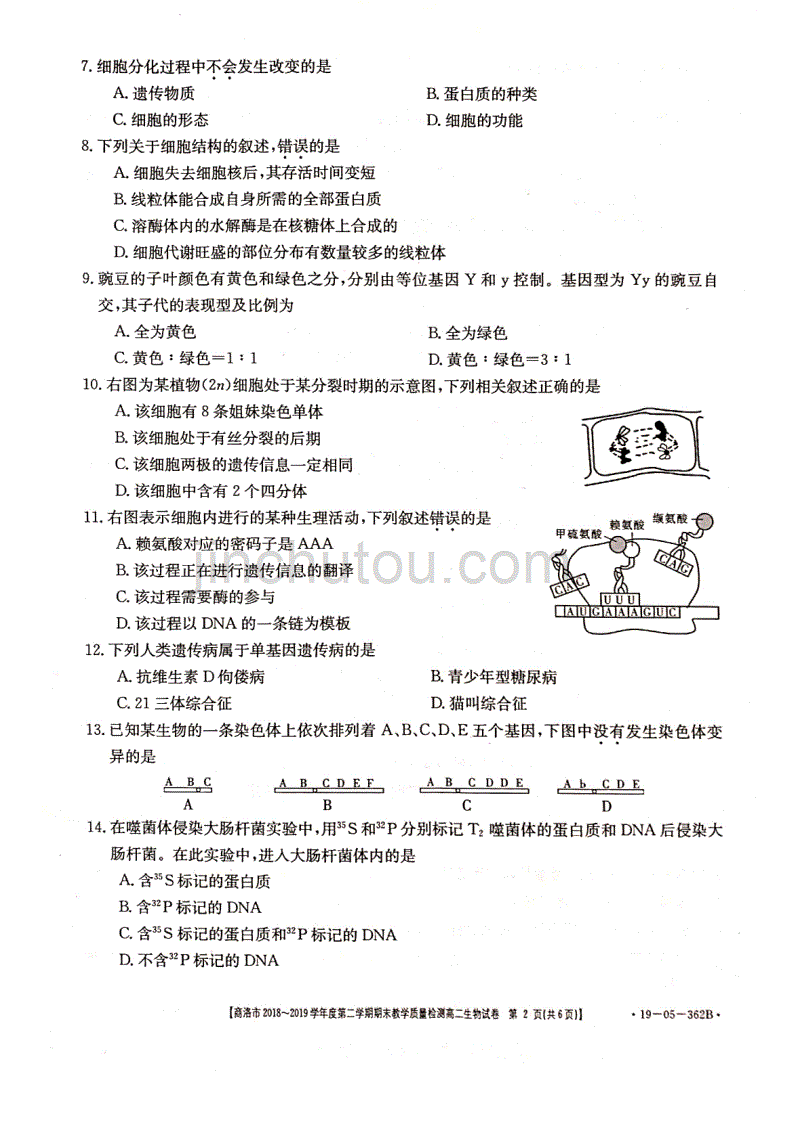 陕西省商洛市2018-2019学年度第二学期高二期末教学质量检测生物试题（PDF版）_第2页