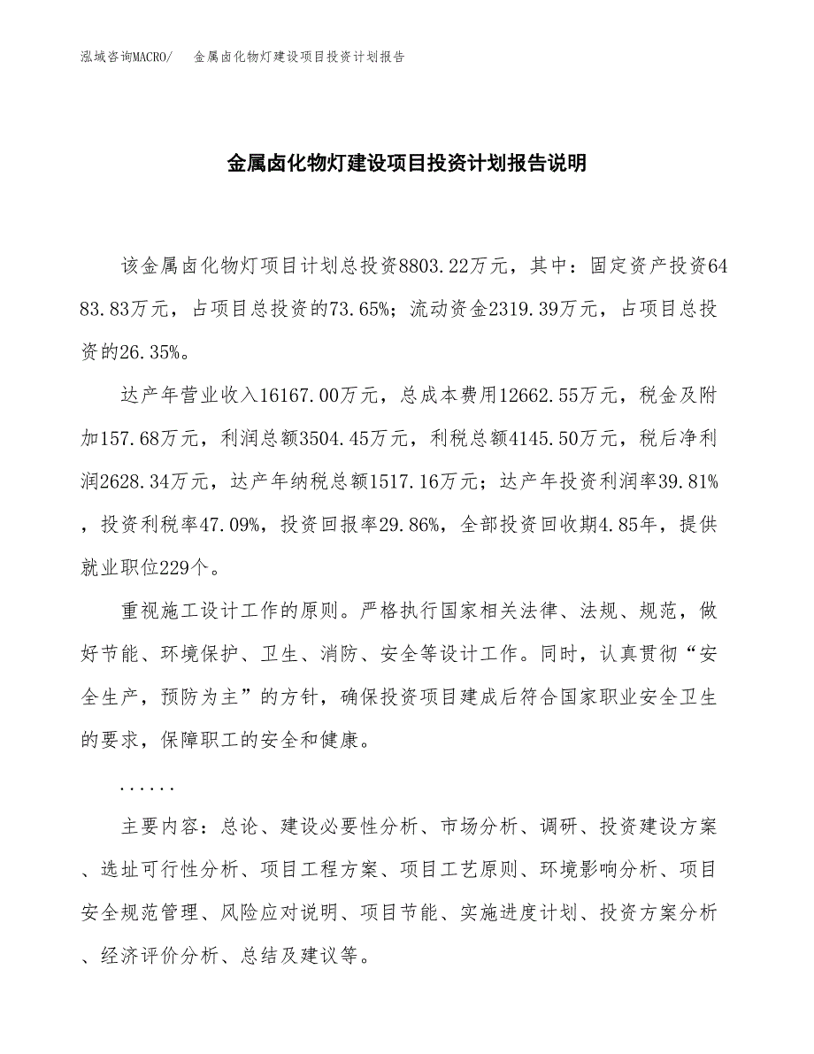 金属卤化物灯建设项目投资计划报告.docx_第2页