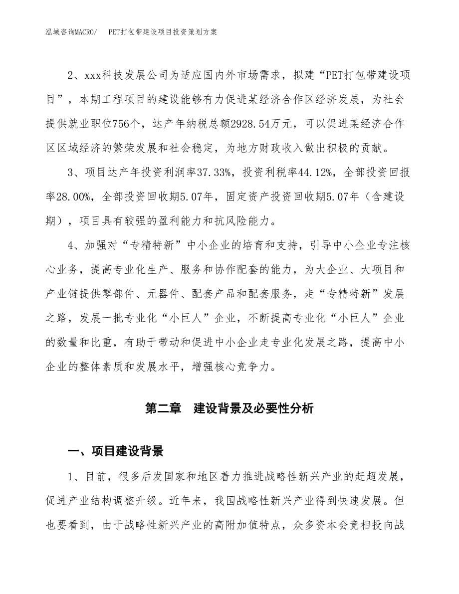 PET打包带建设项目投资策划方案.docx_第5页