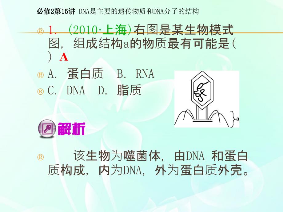 山西省高考生物一轮复习-第15讲-dna是主要的遗传物质和dna分子的结构课件-新必修2_第3页