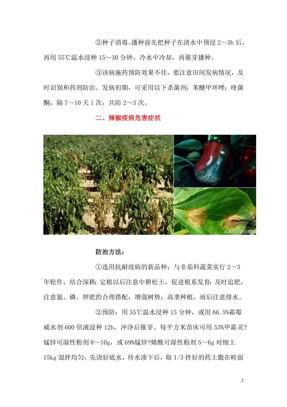 19种辣椒病虫害防治方法详解_第2页