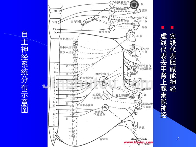 人卫版药化课件_第2页