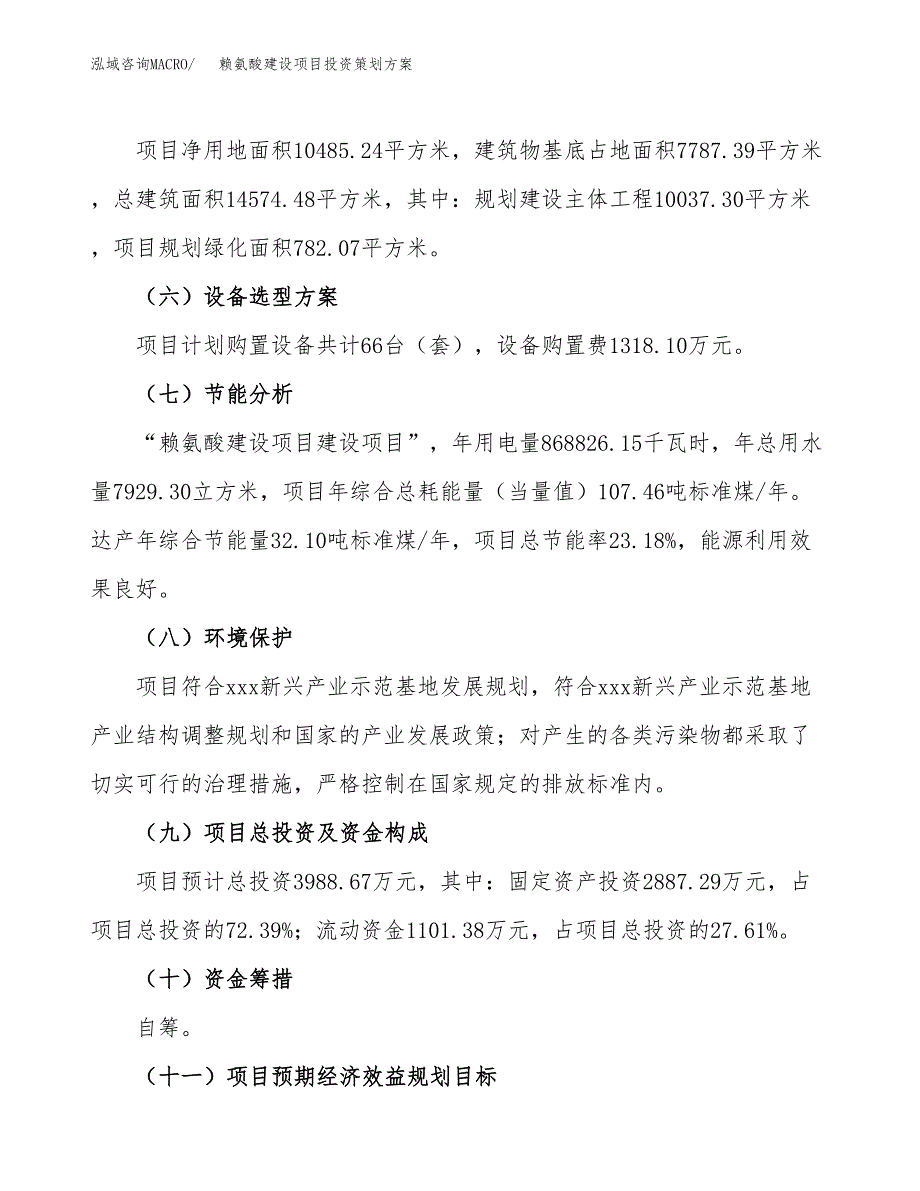 赖氨酸建设项目投资策划方案.docx_第3页