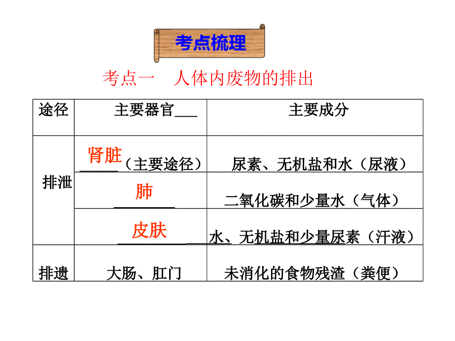 人体内废物的排出-【复习课件共30张)_第3页