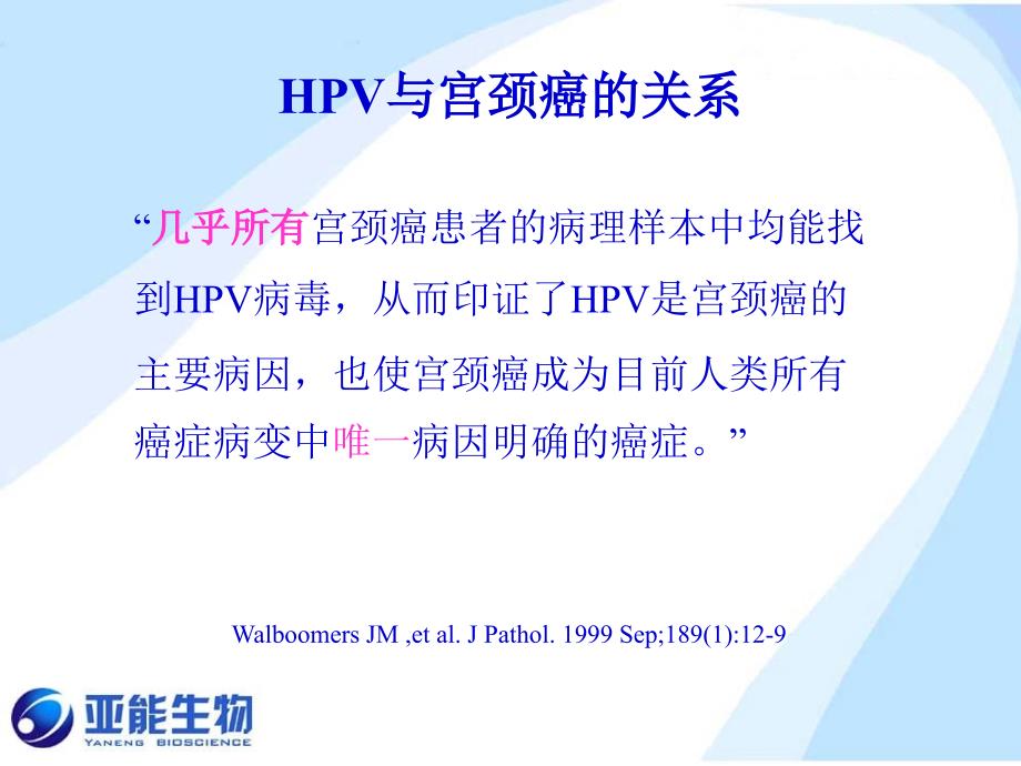 hpv与宫颈癌病理_第3页