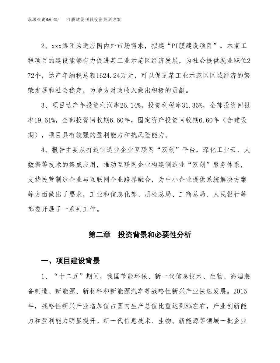 PI膜建设项目投资策划方案.docx_第5页