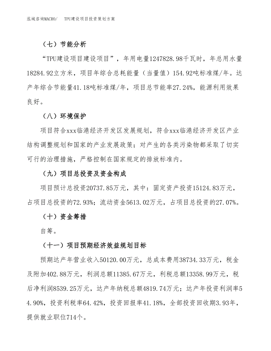 TPU建设项目投资策划方案.docx_第3页