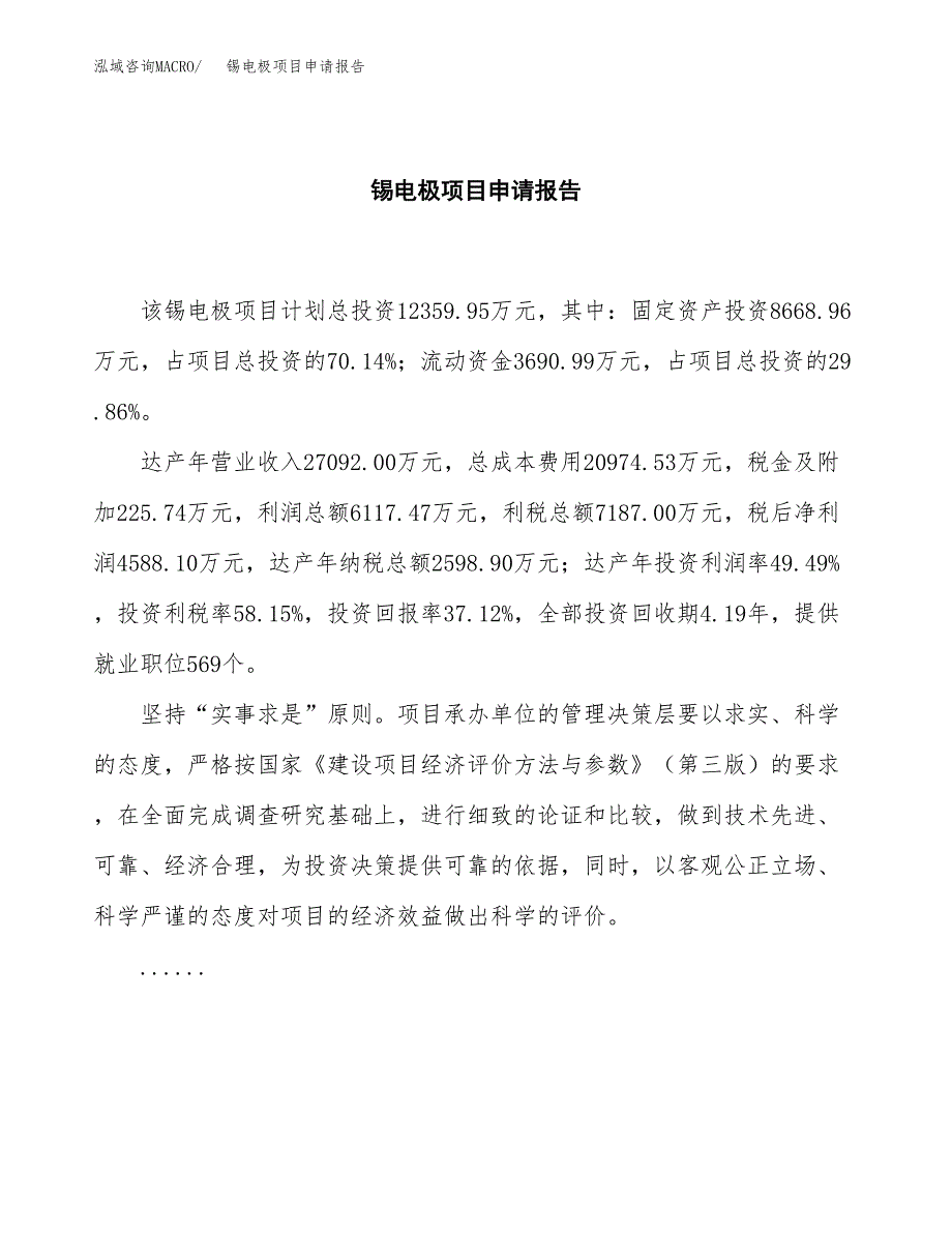 锡电极项目申请报告（47亩）.docx_第2页