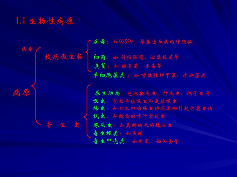 病理学基本原理_第2页