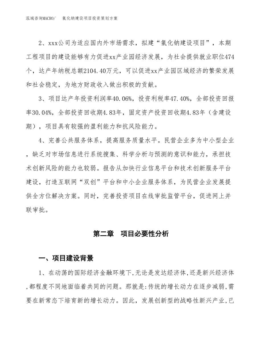 氯化钠建设项目投资策划方案.docx_第5页