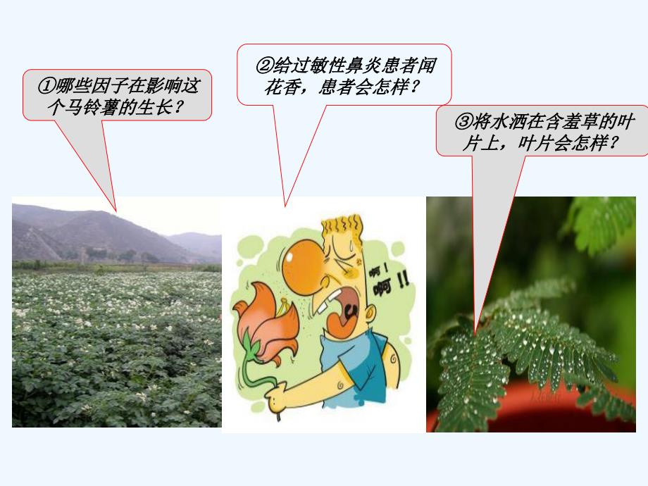 《生物与环境构成生态系统》课件2_第3页