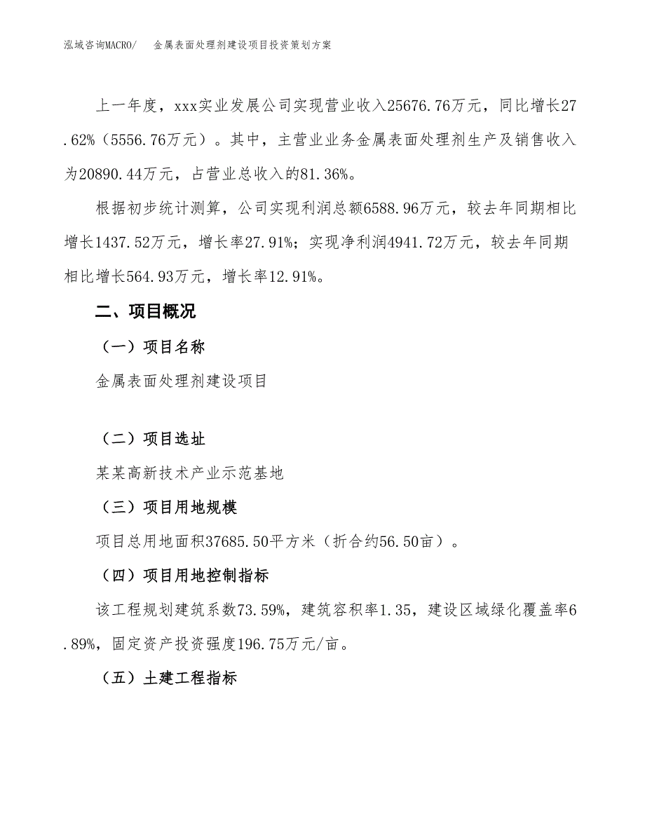 金属表面处理剂建设项目投资策划方案.docx_第2页