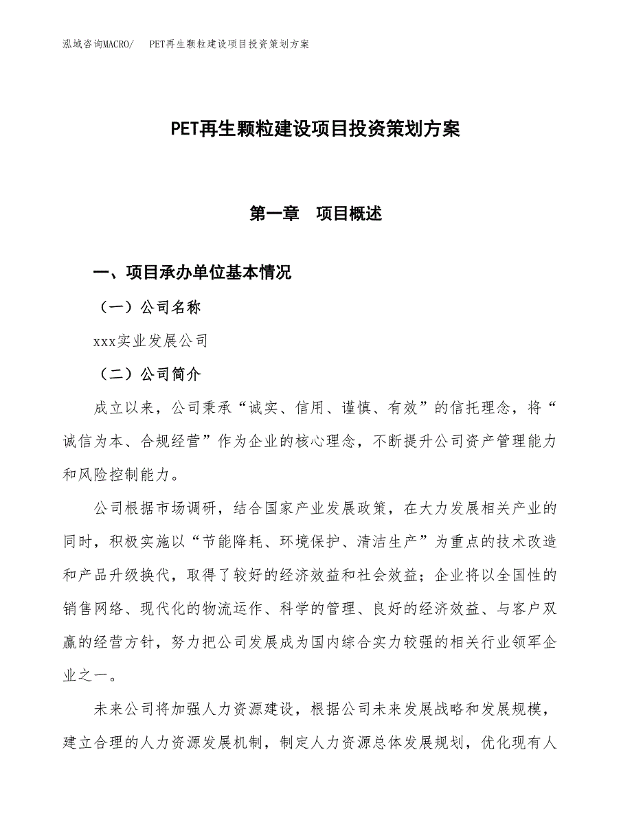 PET再生颗粒建设项目投资策划方案.docx_第1页