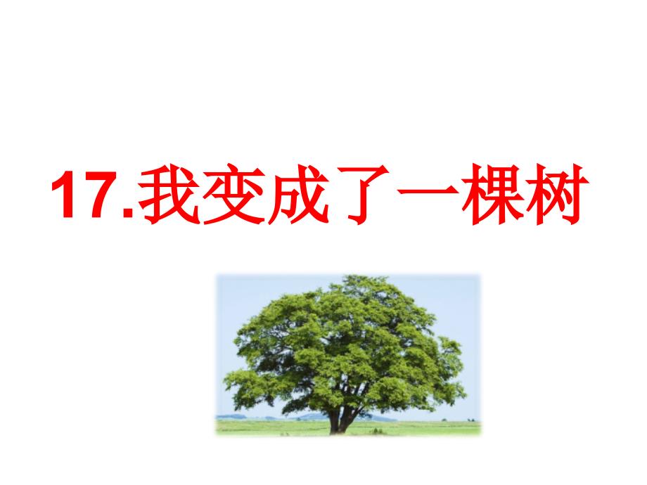 人教部编版三年级下册语文课件：17课-我变成了一棵树(共23张)_第1页