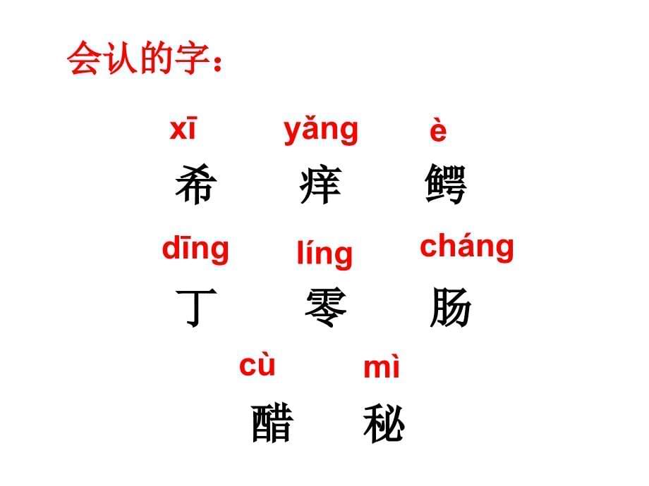 人教部编版三年级下册语文课件：17课-我变成了一棵树(共23张)_第5页