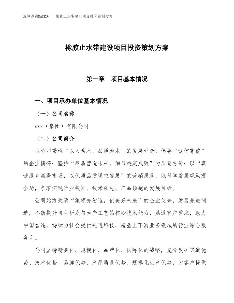 橡胶止水带建设项目投资策划方案.docx_第1页