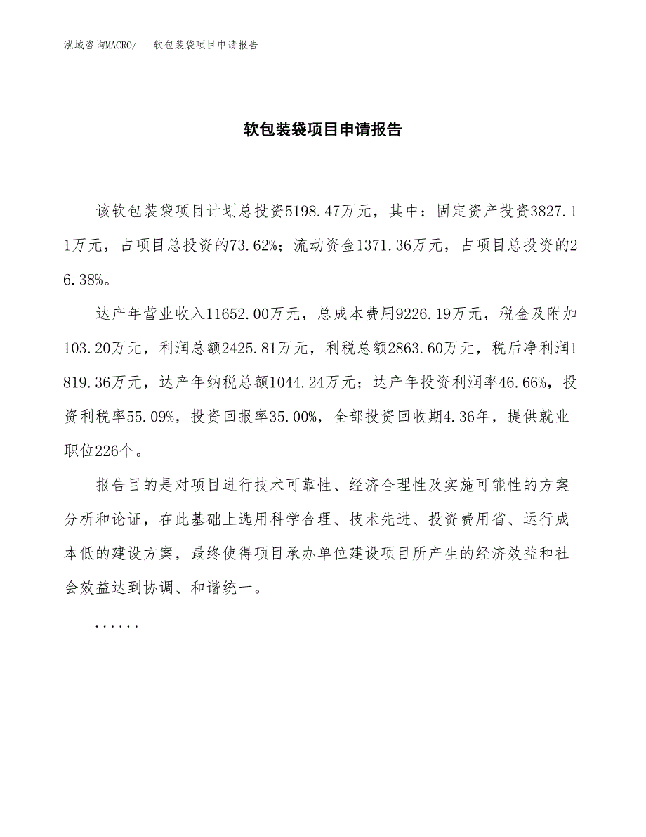 软包装袋项目申请报告（24亩）.docx_第2页