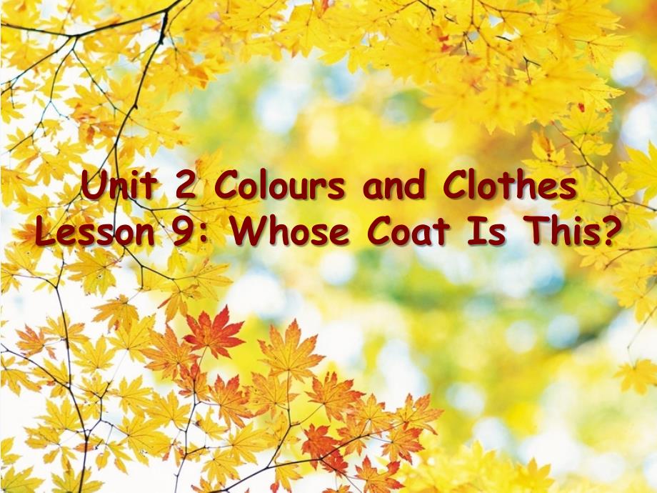 unit 2 colours and clothes lesson 9 whose coat is this 课件_第1页
