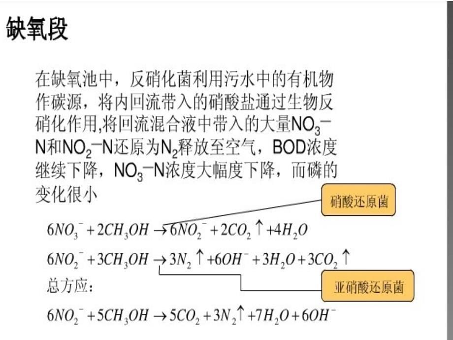 AAO及SBR工艺流程教材_第5页