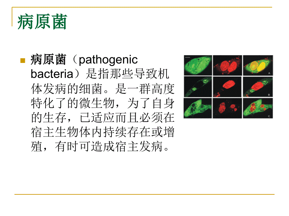 酵母作为研究病原菌致病效应分子的工具生物化学与分子生物学_第2页