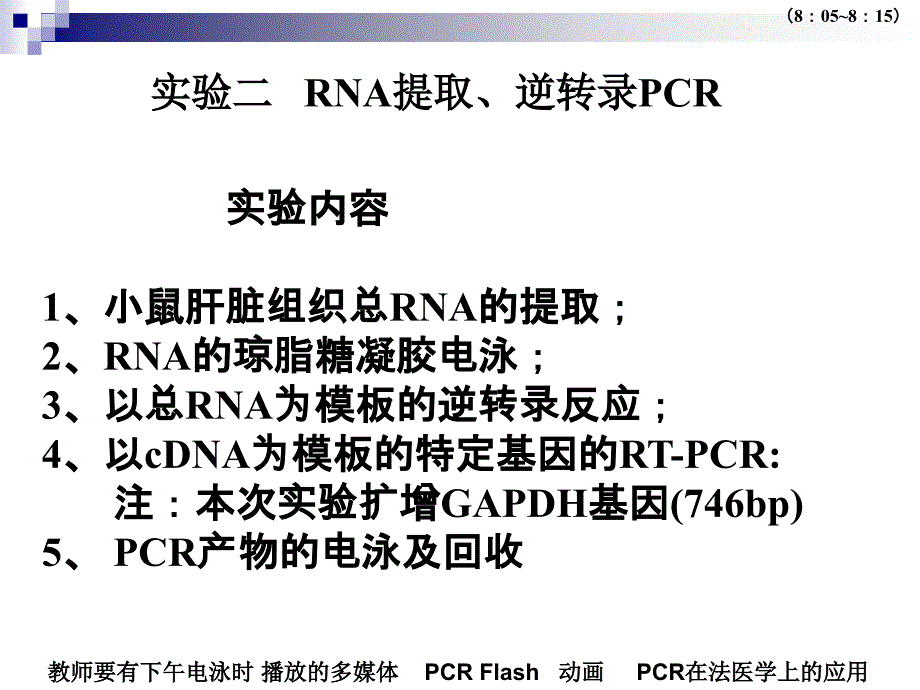 rna的提取琼脂糖电泳及rtpcr_第3页